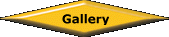 Photo Gallery
